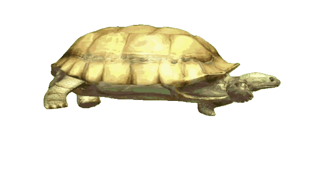 free animated gif images,animated gif video free download,free gif download no copyright,animated gifs free,3d animation gif free download,walking animation gif free download,walking animal animation gif free download,free Green Screen,5 walking kachua animation gif, walking kachua animation gif free, kachua animated gif free,