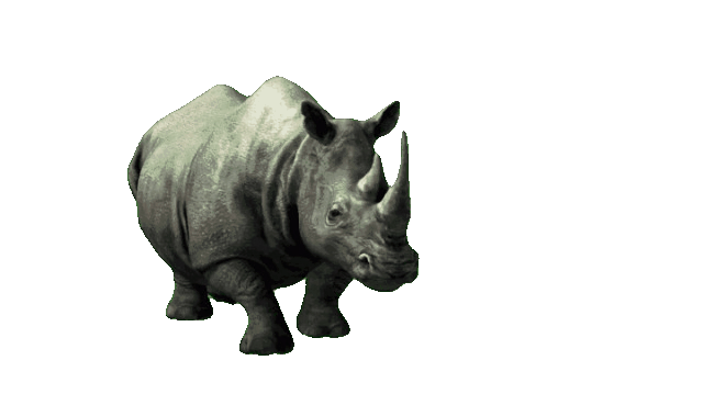 free animated gif images,animated gif video free download,free gif download no copyright,animated gifs free,3d animation gif free download,walking animation gif free download,walking animal animation gif free download,free Green Screen,walking hippopotamus animation gif, walking hippopotamus animation gif free,hippopotamus animated gif free