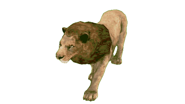 free animated gif images,animated gif video free download,free gif download no copyright,animated gifs free,3d animation gif free download,walking animation gif free download,walking animal animation gif free download,free Green Screen, walking lion animation gif, walking lion animation gif free, lion animated gif free,